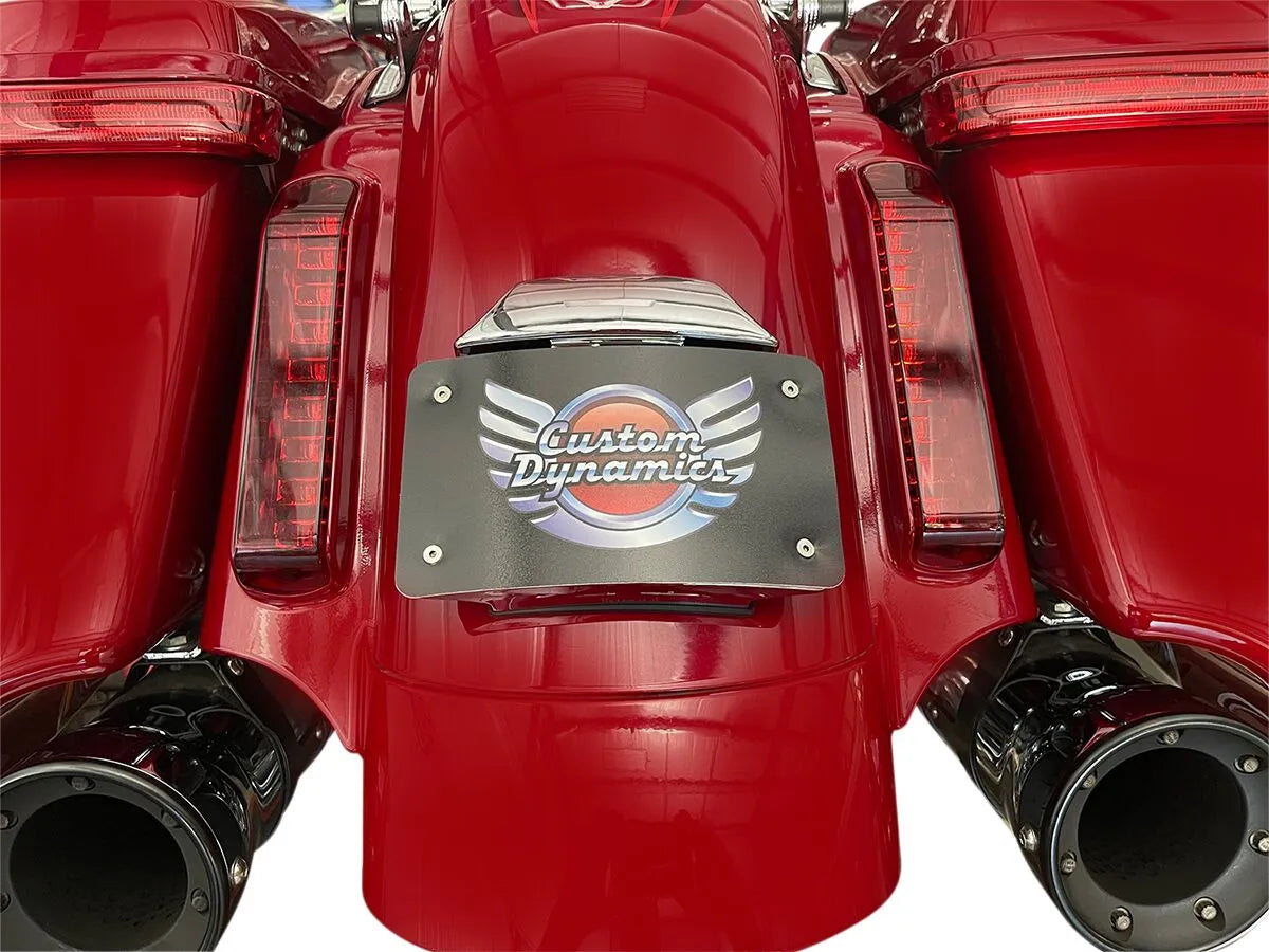 Custom Dynamics Radius License Plate Mount For Cvo™