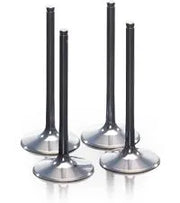 Prox Titanium Intake Valve