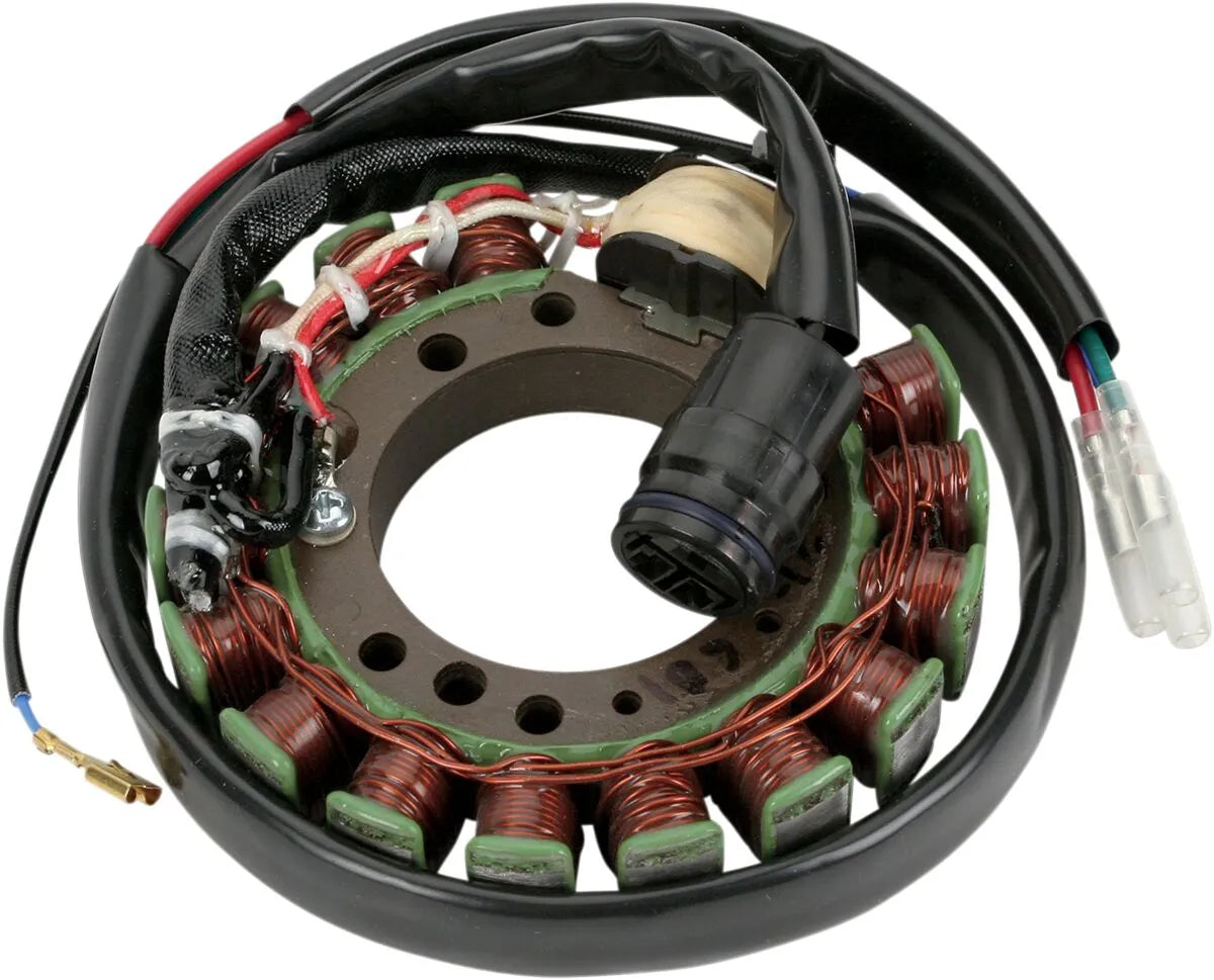 Rick's Motorsport Electric Stator