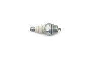Champion Spark Plug - Superior Corrosion Resistance