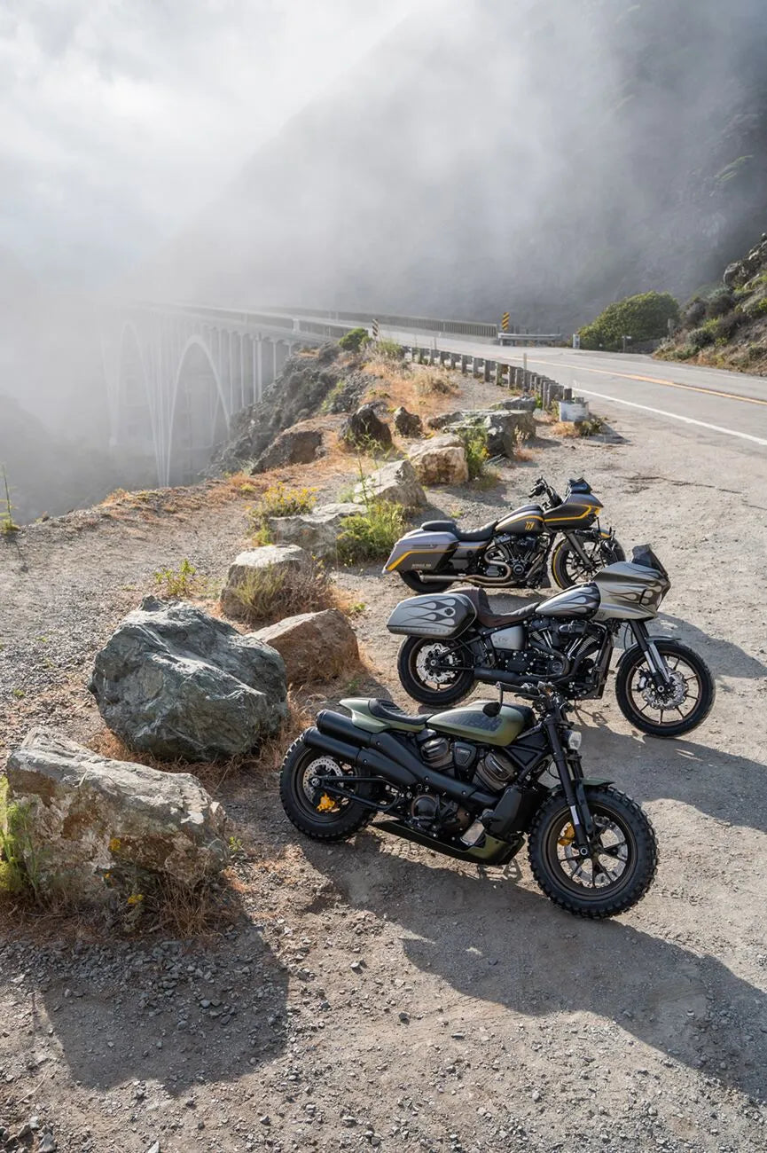 Kodlin Elypse Led 2-1 Turn Signals