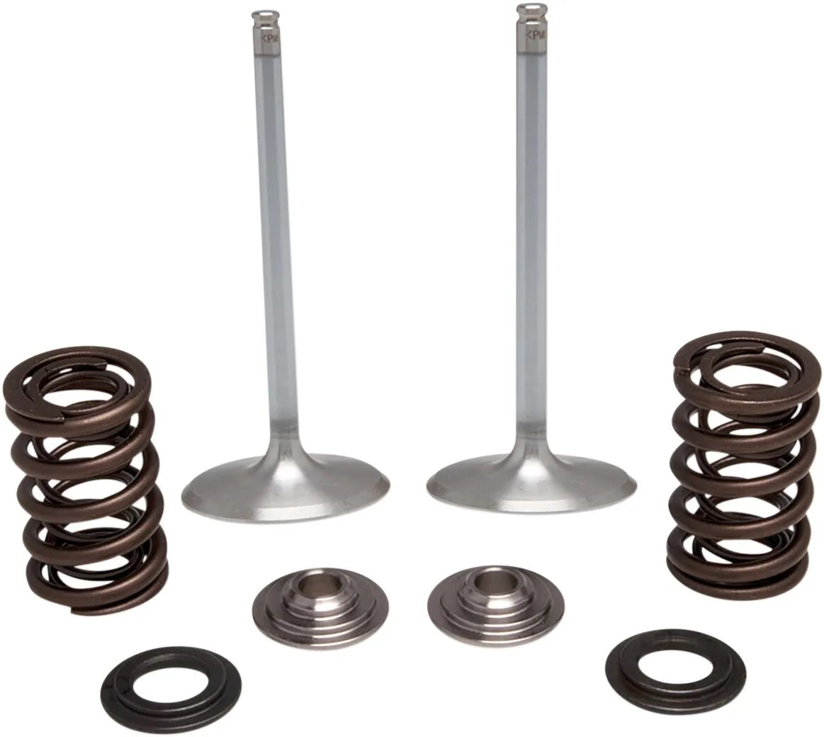 Kibblewhite Stainless Intake Valve & Spring Kit