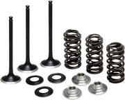 Kibblewhite Intake Valve And Spring Kit