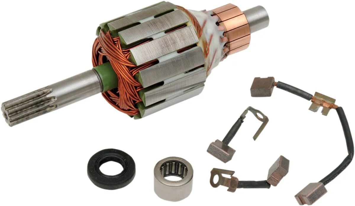 Rick's Motorsport Electric Starter Rebuild Kit