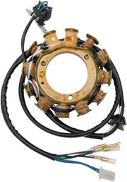 Rick's Motorsport Electric Stator