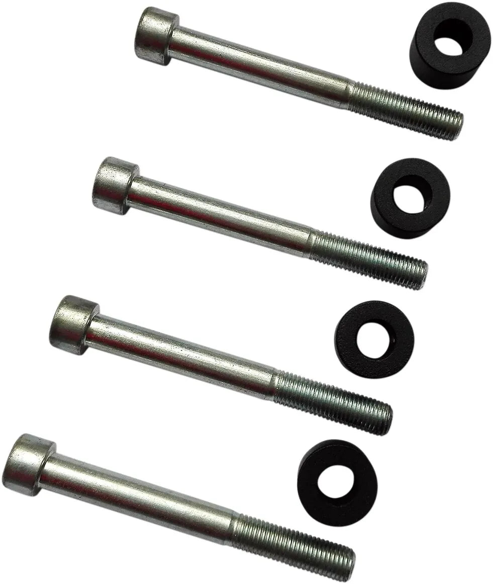 Custom Acces Sissy Bar & Saddlebag Mounting Kit