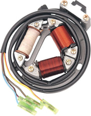 Rick's Motorsport Electric Stator For Suzuki