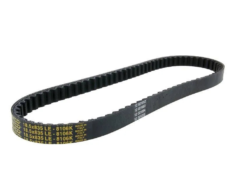 Dayco Drive Belt - High Performance Cvt Belt