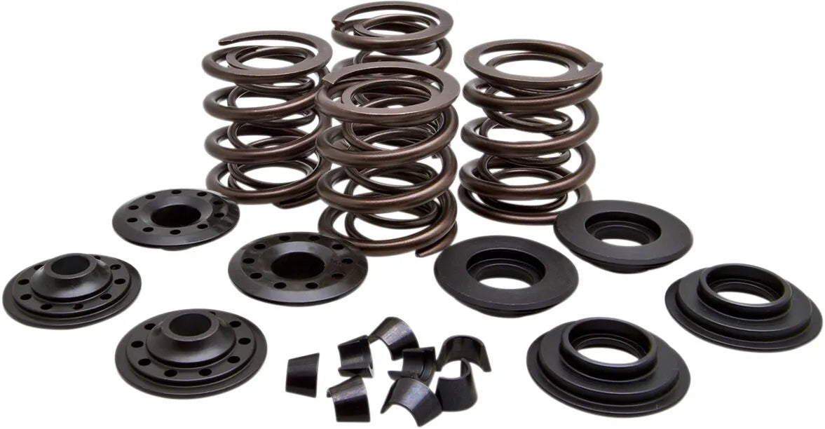 Kibblewhite Racing Valve Spring Kit .600"