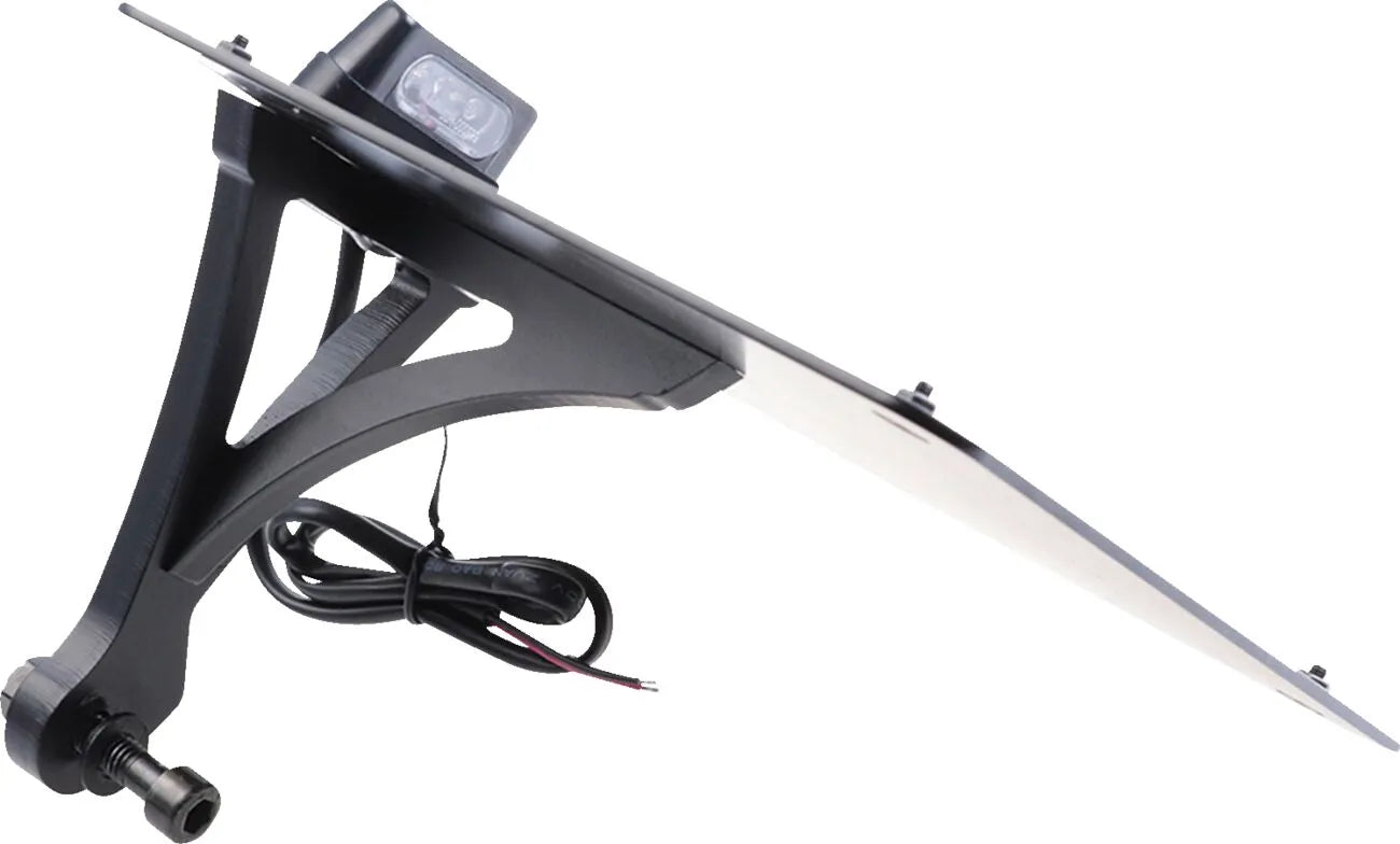 Cult Werk License Plate Holder With Led Lighting