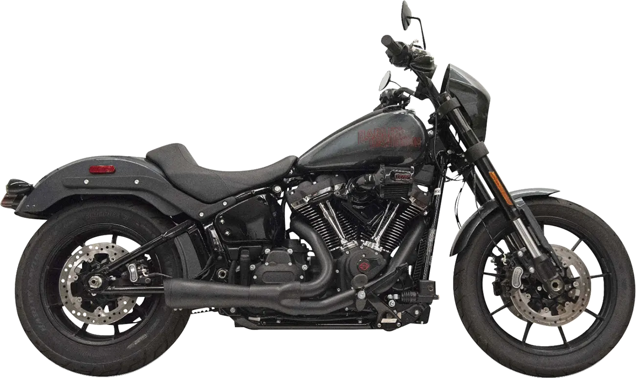 Bassani Xhaust 2-into-1 The Ripper Exhaust System