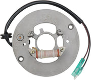 Rick's Motorsport Electric Stator For Yamaha