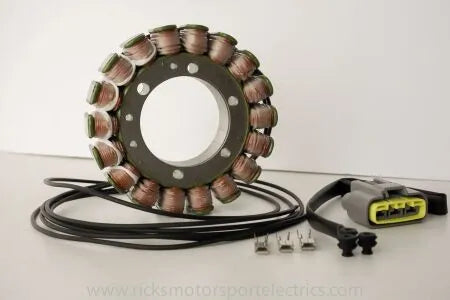 Rick's Motorsport Electric Oem Style Stator