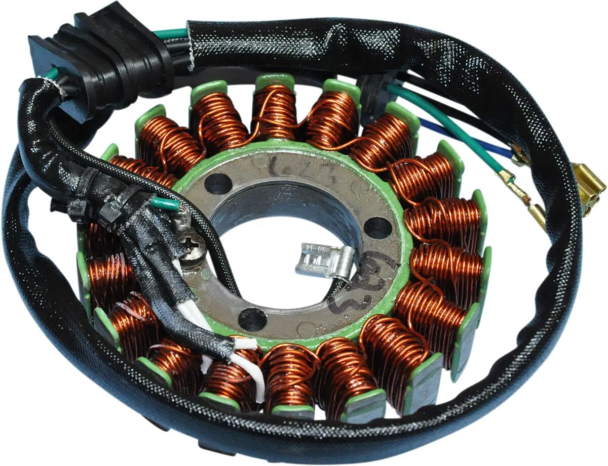 Rick's Motorsport Electric Stator