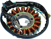 Rick's Motorsport Electric Stator