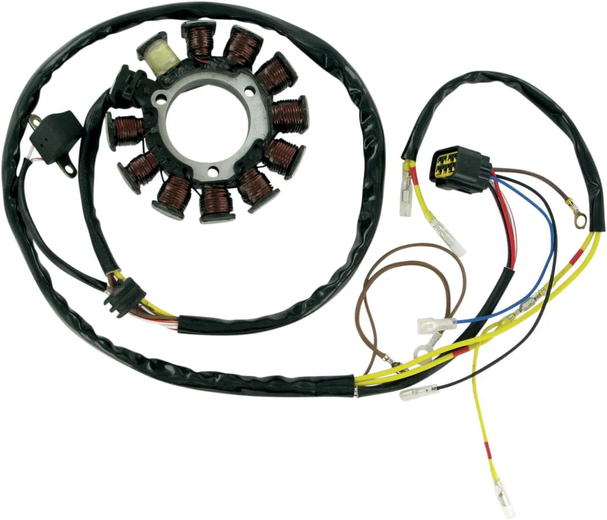 Rick's Motorsport Electric Stator For Polaris