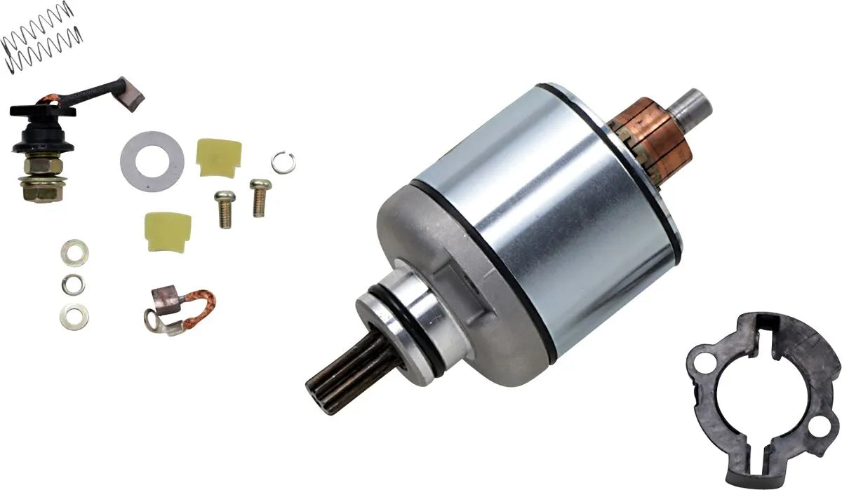 Rick's Motorsport Electric Starter Rebuild Kit