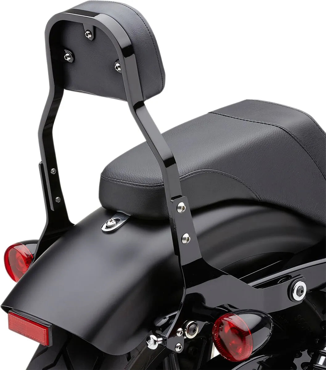 Cobra Detachable Backrest Kit