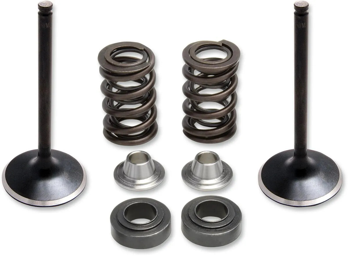 Kibblewhite Stainless Steel Intake Valve And Spring Kit