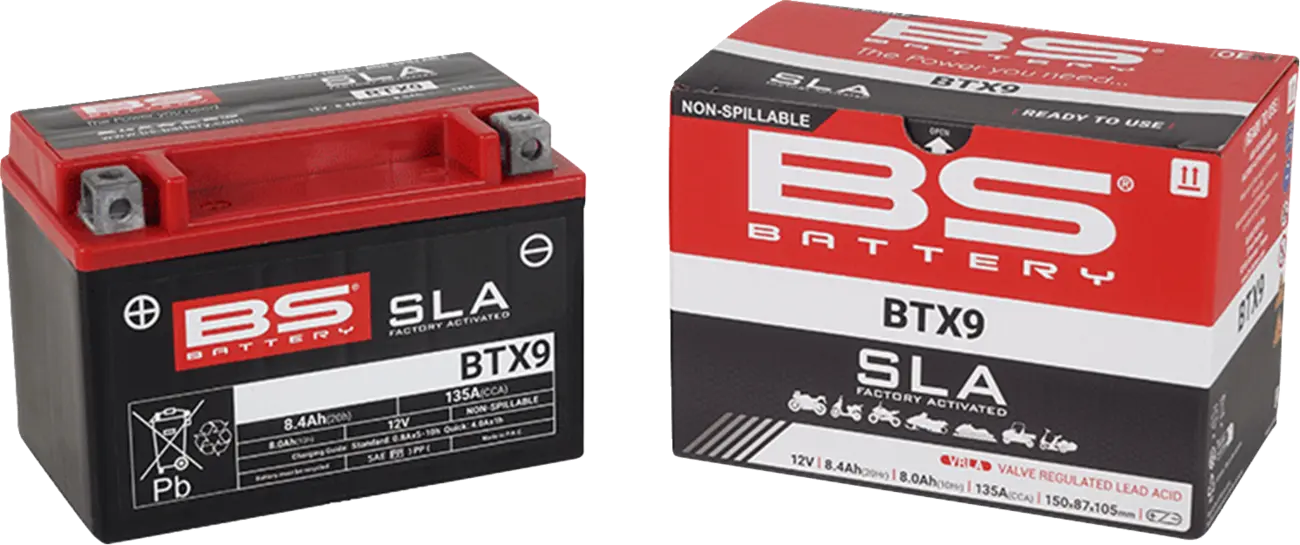 Bs Battery Agm Maintenance-free Battery