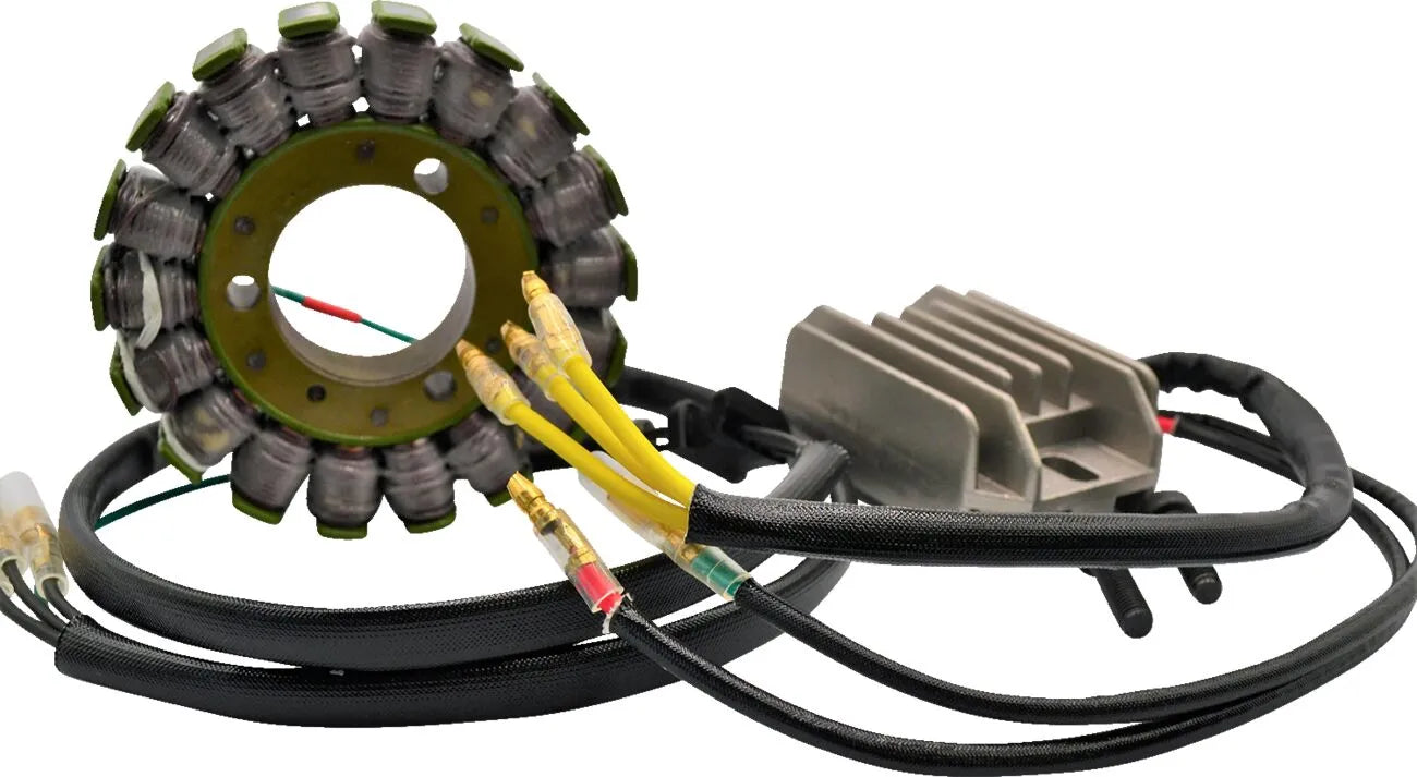Rick's Motorsport Electric Lithium-ion Charging Kit