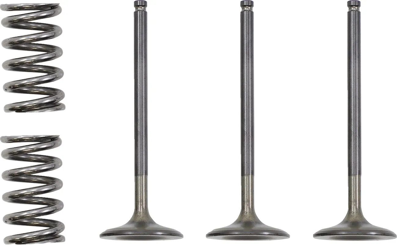 Prox Valve And Spring Kit - Steel, Nitrided Valves