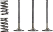 Prox Valve And Spring Kit - Steel, Nitrided Valves
