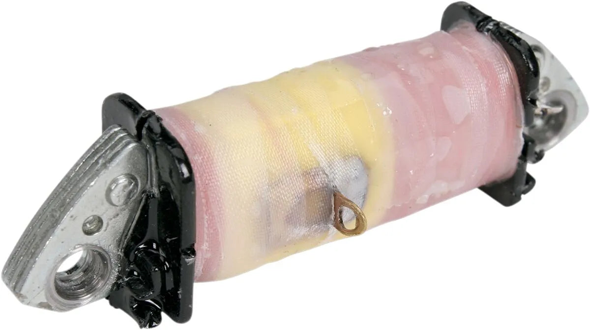 Rick's Motorsport Electric Lighting Coil