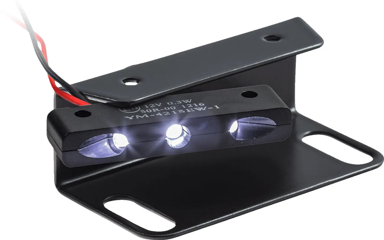 Zieger X-line License Plate Holder Type E