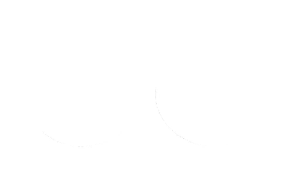 Athena Fork Oil Seals Replacement