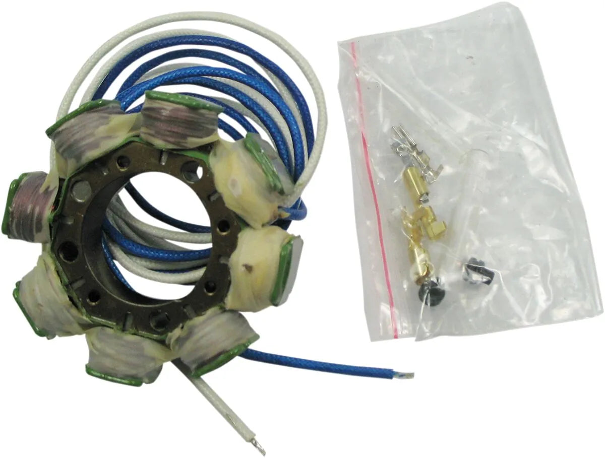 Rick's Motorsport Electric Stator