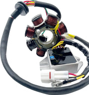 Rick's Motorsport Electric Lithium-ion Charging Kit