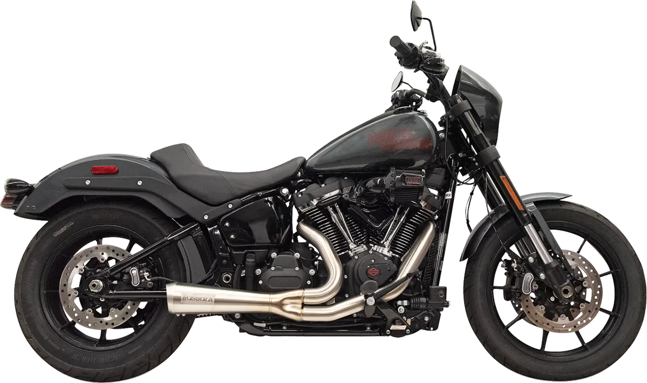 Bassani Xhaust 2-into-1 The Ripper Exhaust System