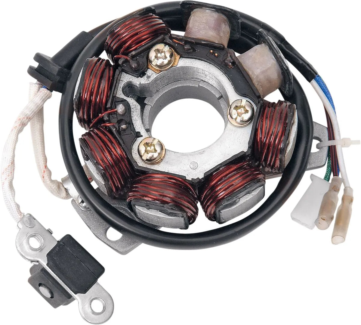 Rick's Motorsport Electric Stator