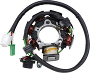 Rick's Motorsport Electric Oem Style Stator